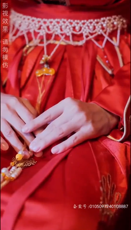 傅总的天降太子妃第01集