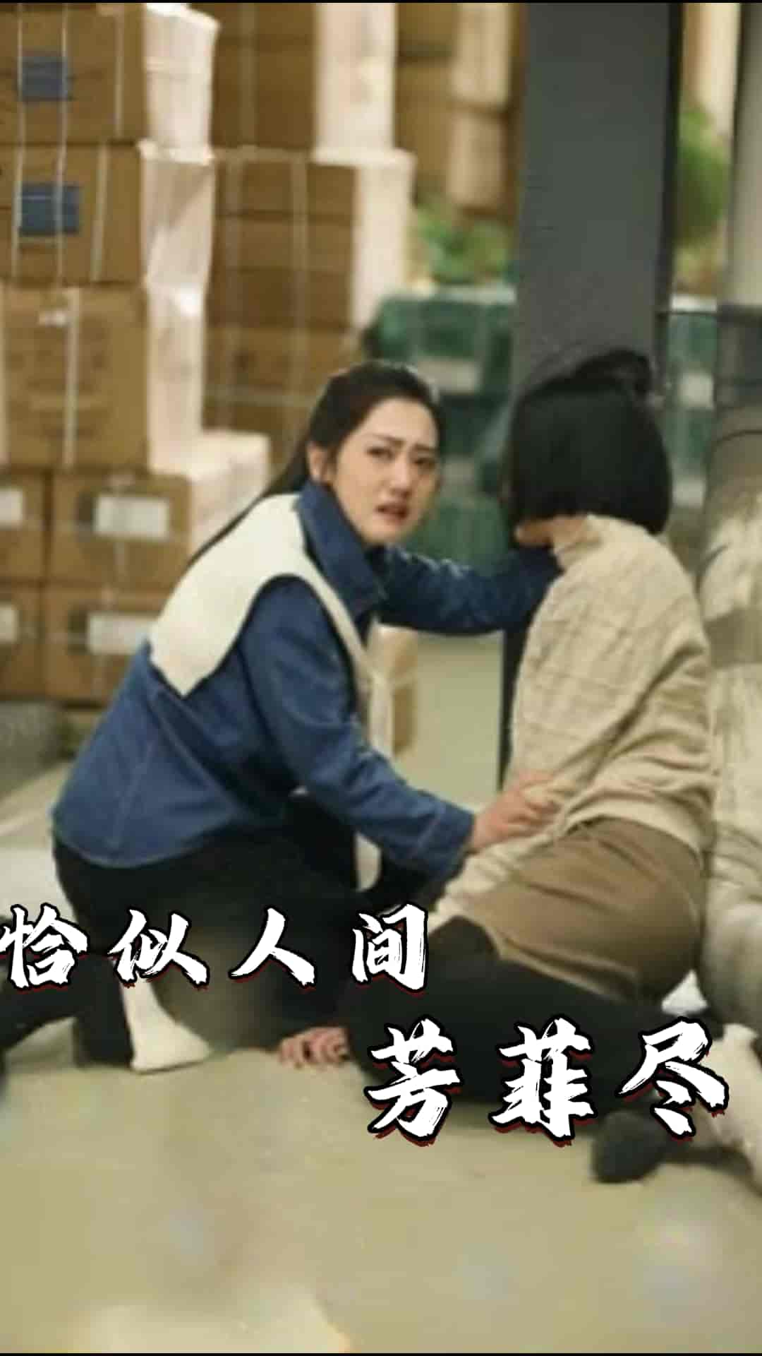 恰似人间芳菲尽第53集