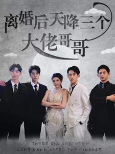 离婚后天降三个大佬哥哥第01集