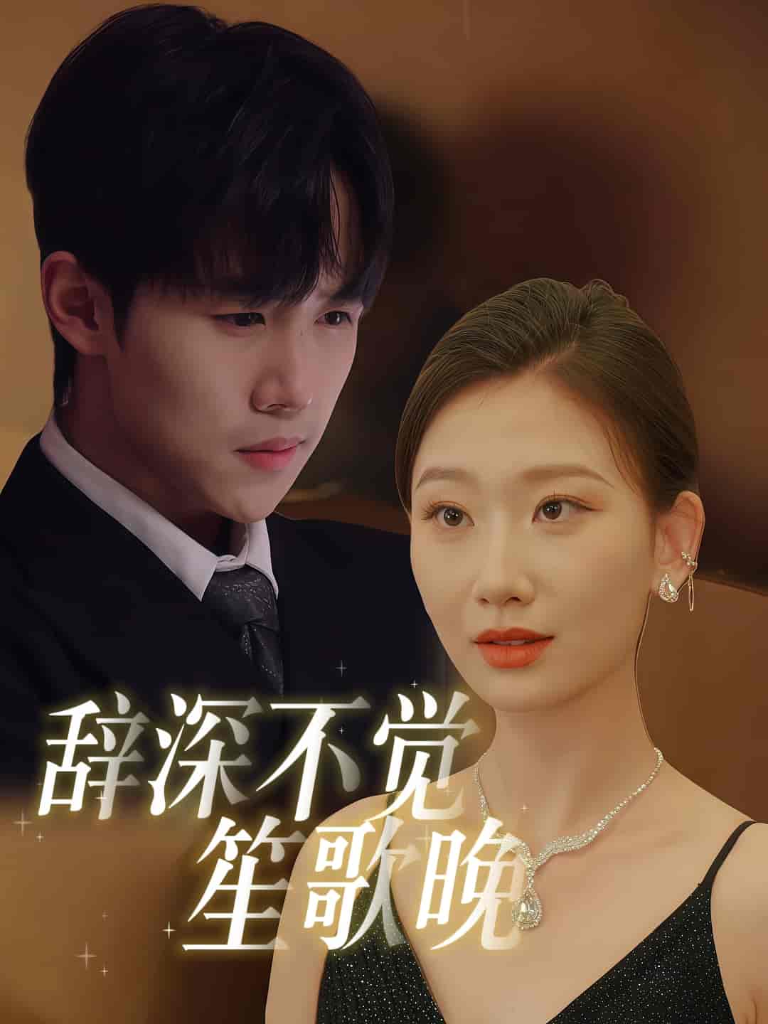 辞深不觉笙歌晚第1集