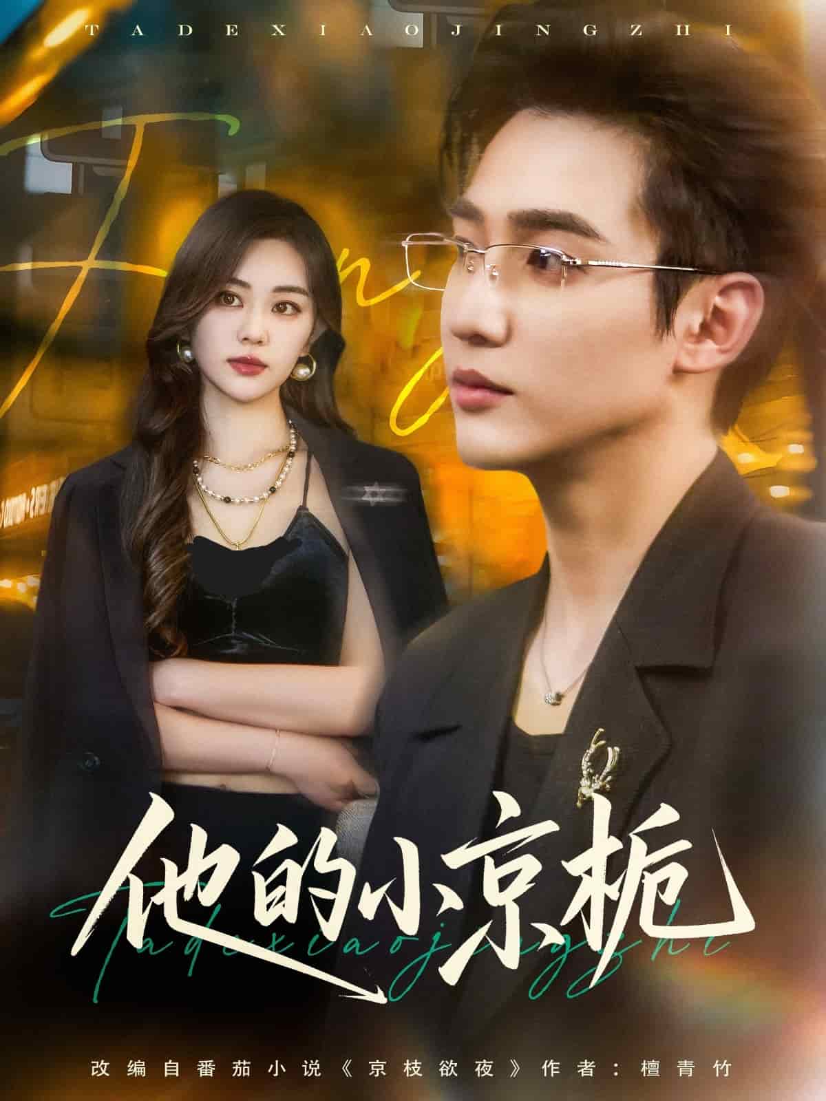 他的小京栀第63集
