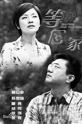 我在等你回家第12集