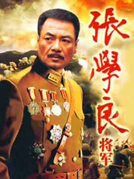 张学良将军第20集