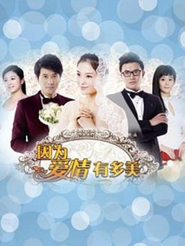 因为爱情有多美DVD版第12集