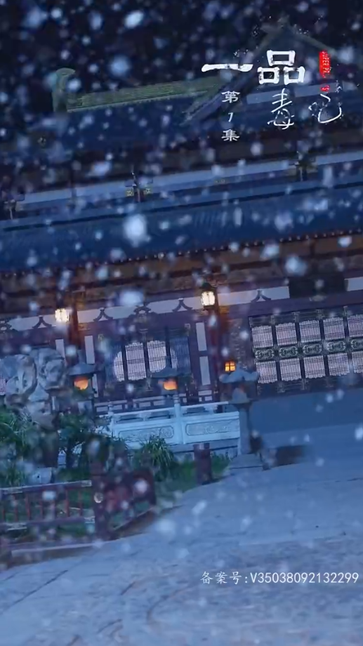 一品毒妃第02集