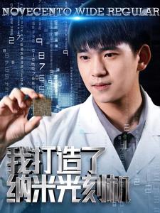 我打造了纳米光刻机第17集