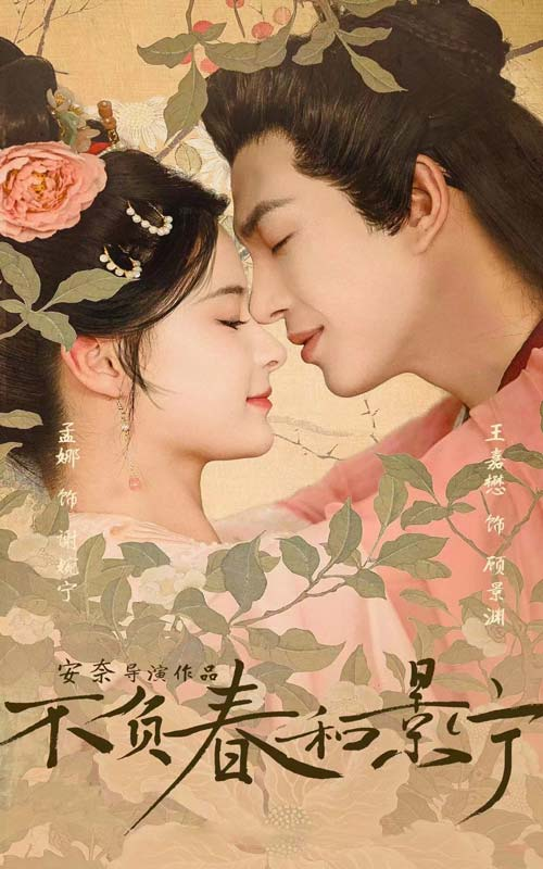 不负春和景宁第29集