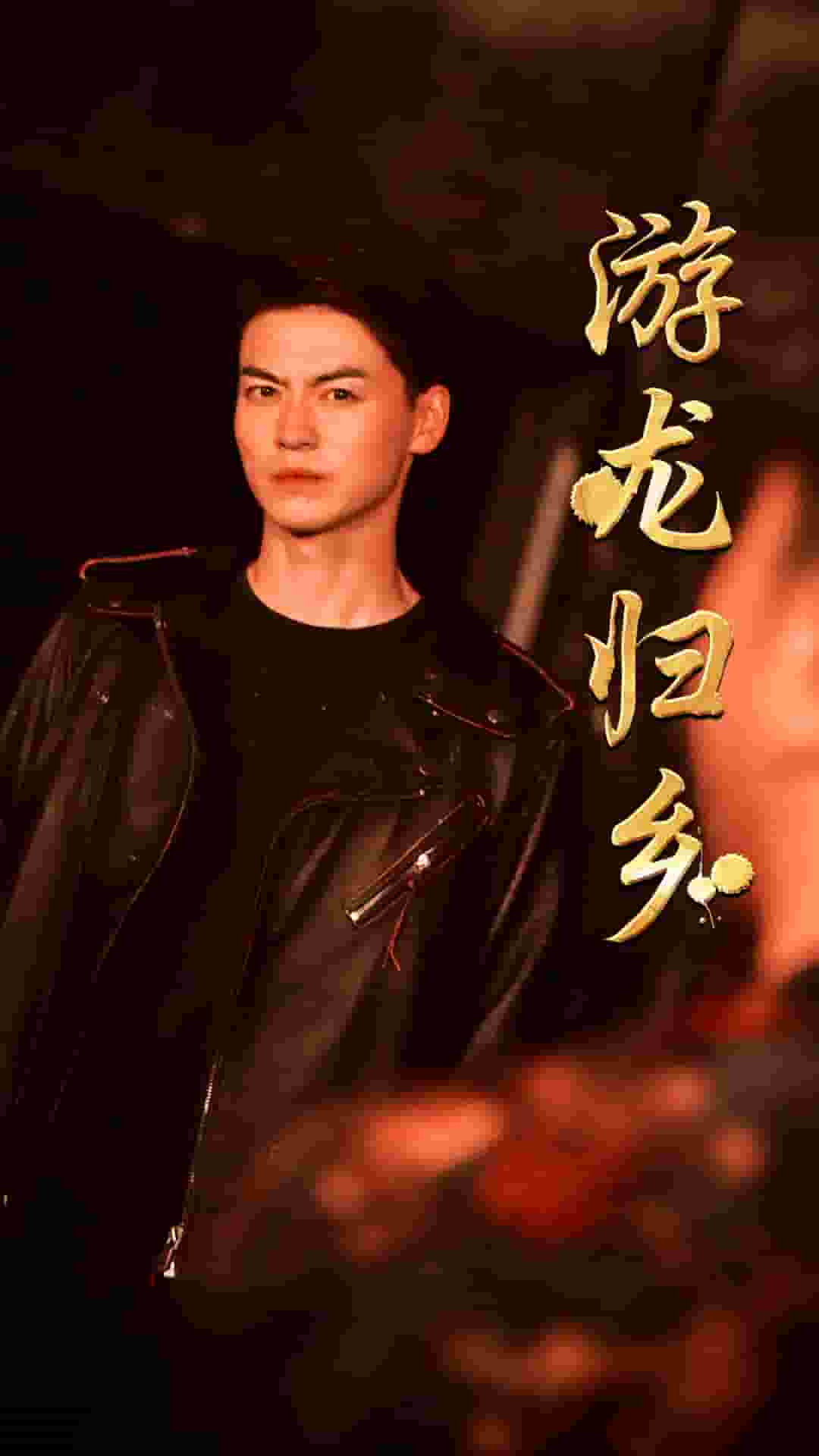 游龙归乡第11集