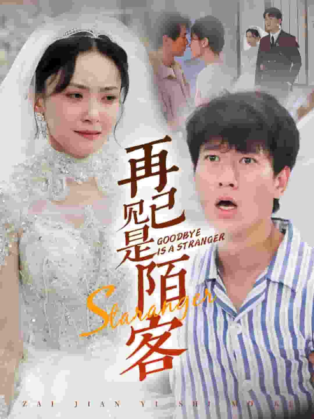 再见已是陌客第54集