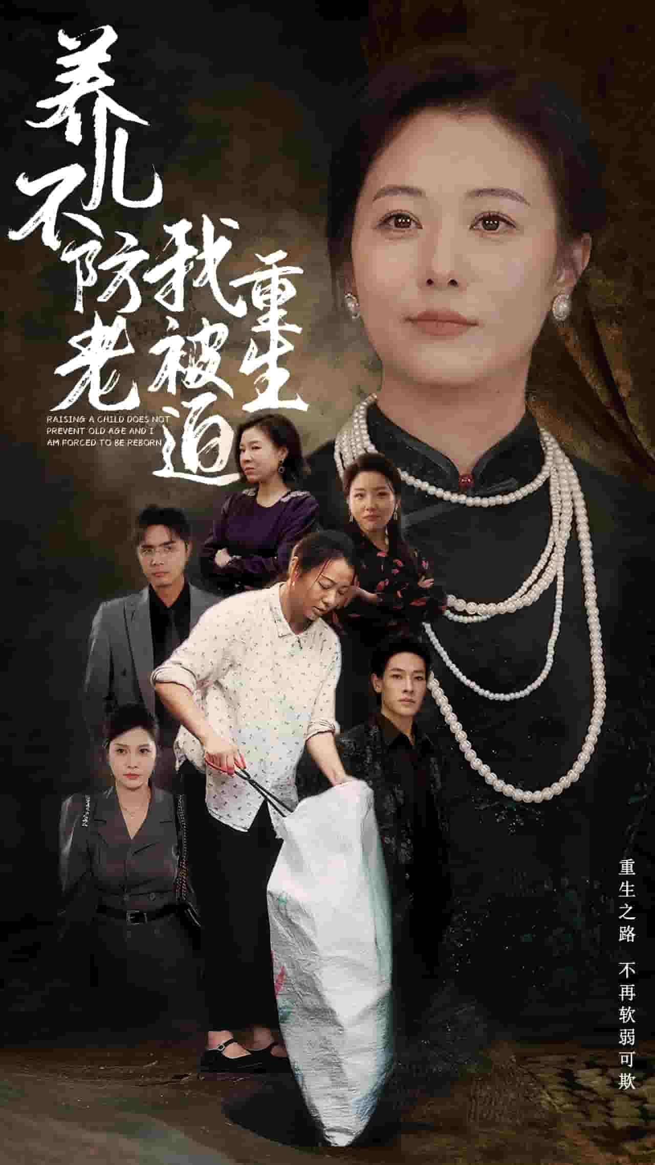 养儿不防老我被迫重生第54集
