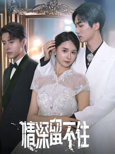 情深留不住第54集