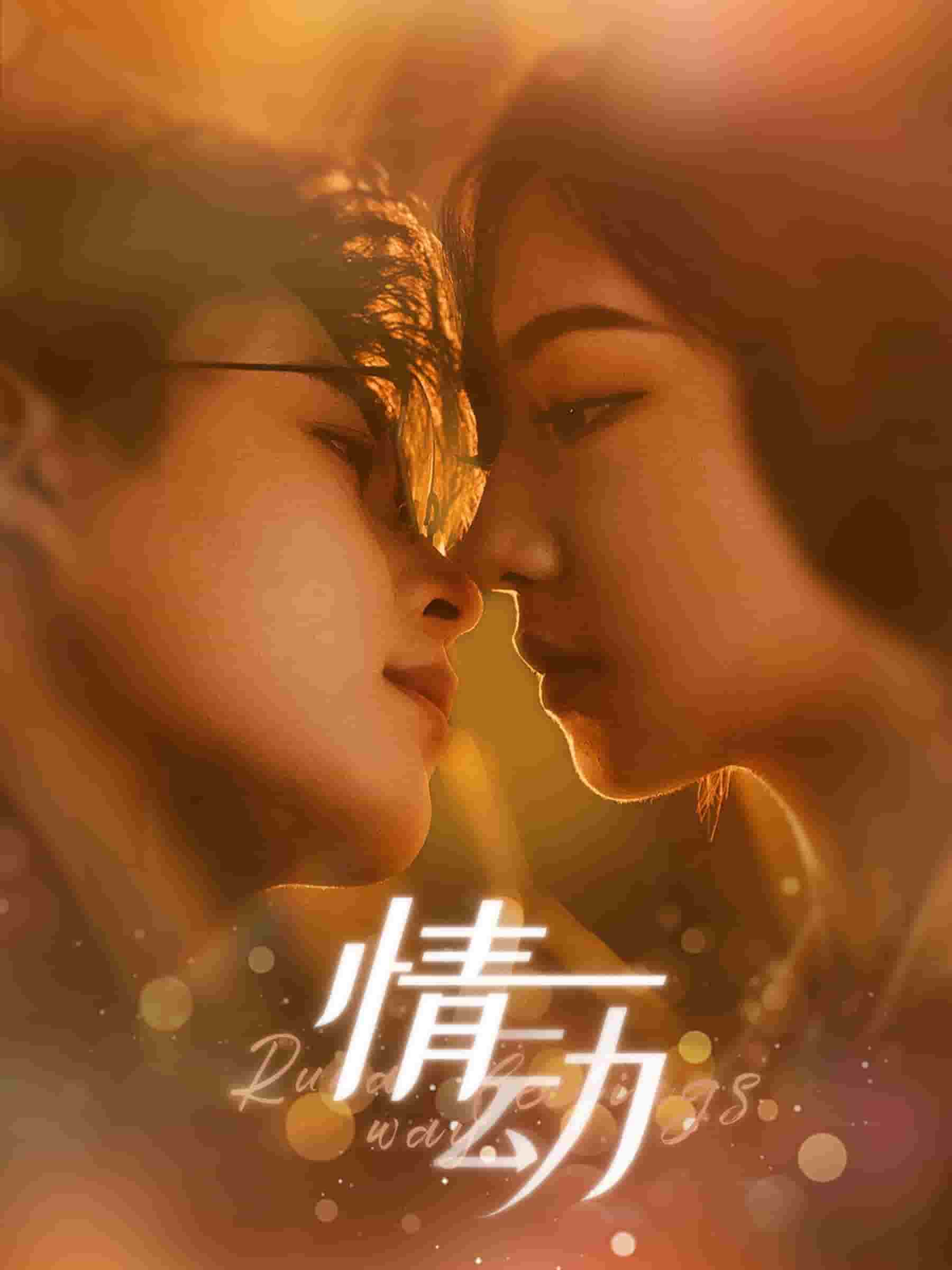 情动第01集