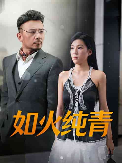 如火纯青第41集
