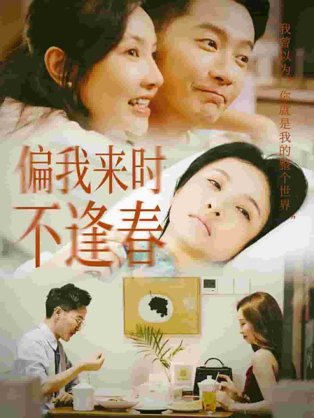 偏我来时不逢春第32集
