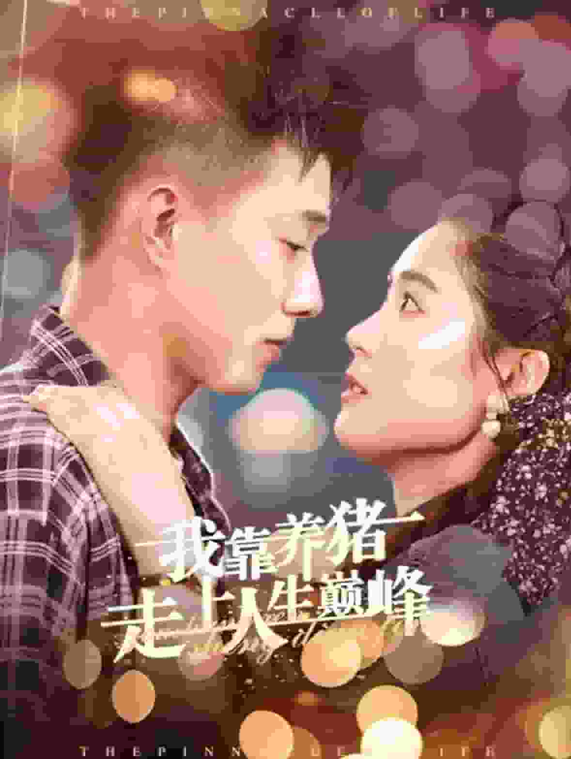 我靠养猪走上人生巅峰第35集