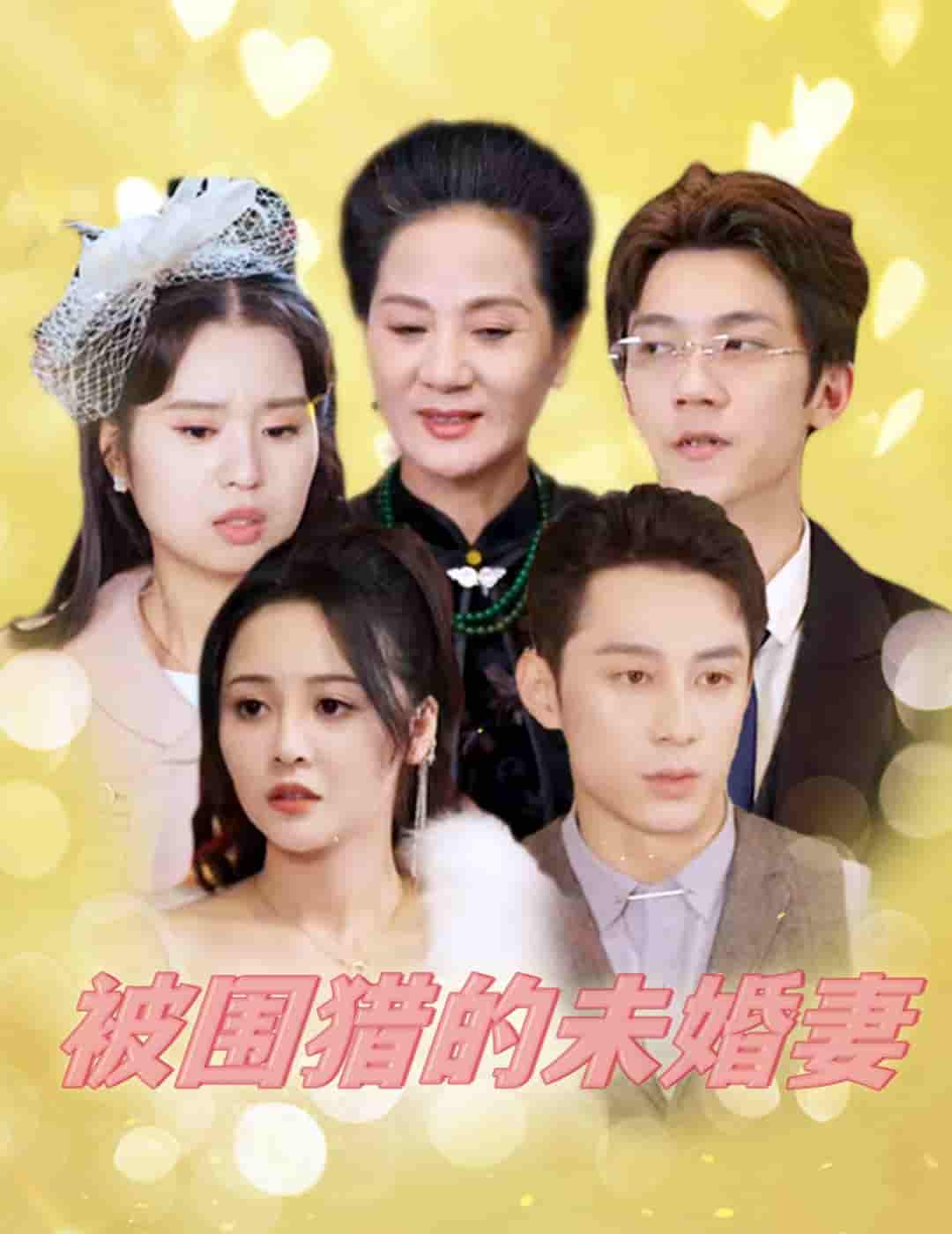 被围猎的未婚妻第12集