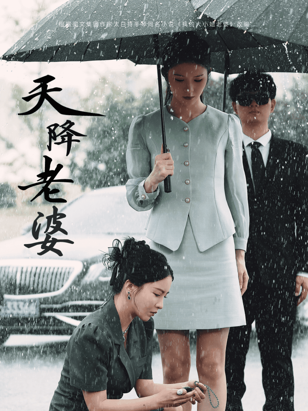 天降老婆第73集