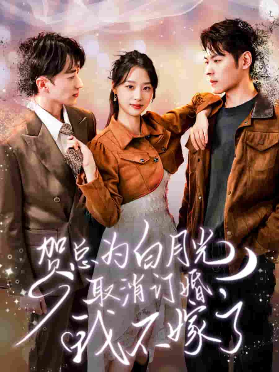 贺总为白月光取消订婚，我不嫁了第51集