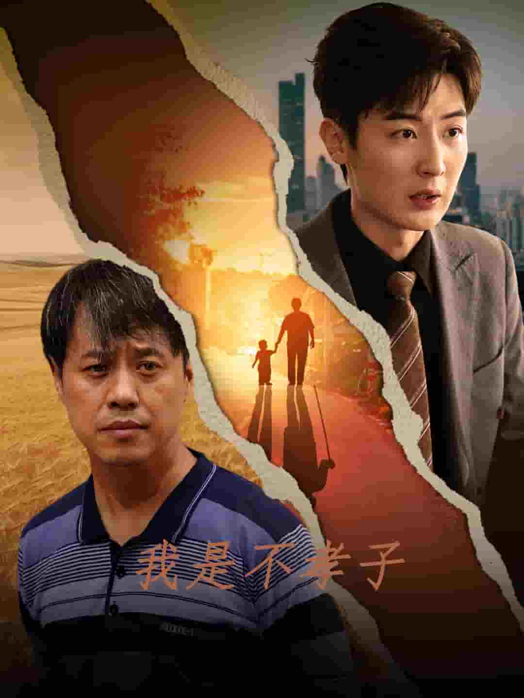 我是不孝子第31集