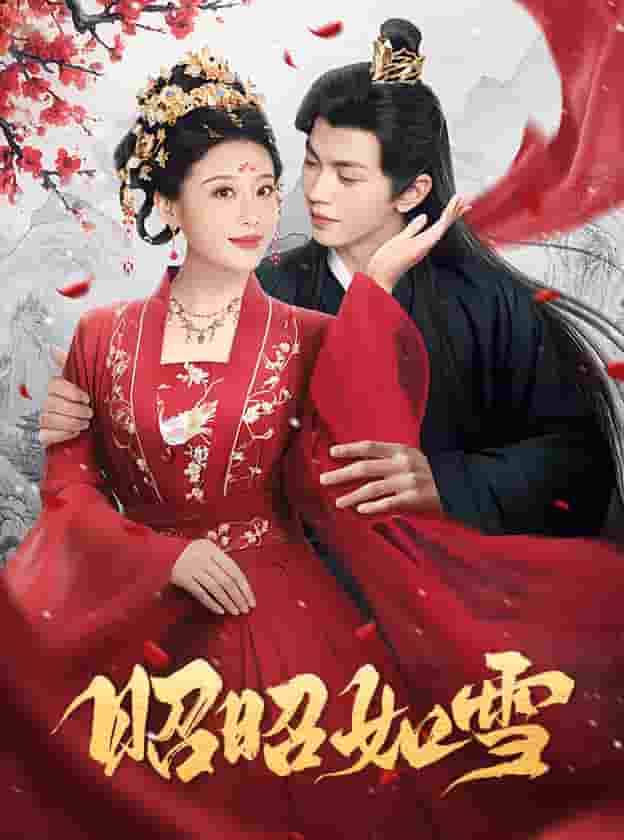 昭昭如雪第06集