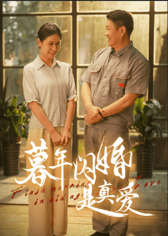 暮年闪婚是真爱第27集