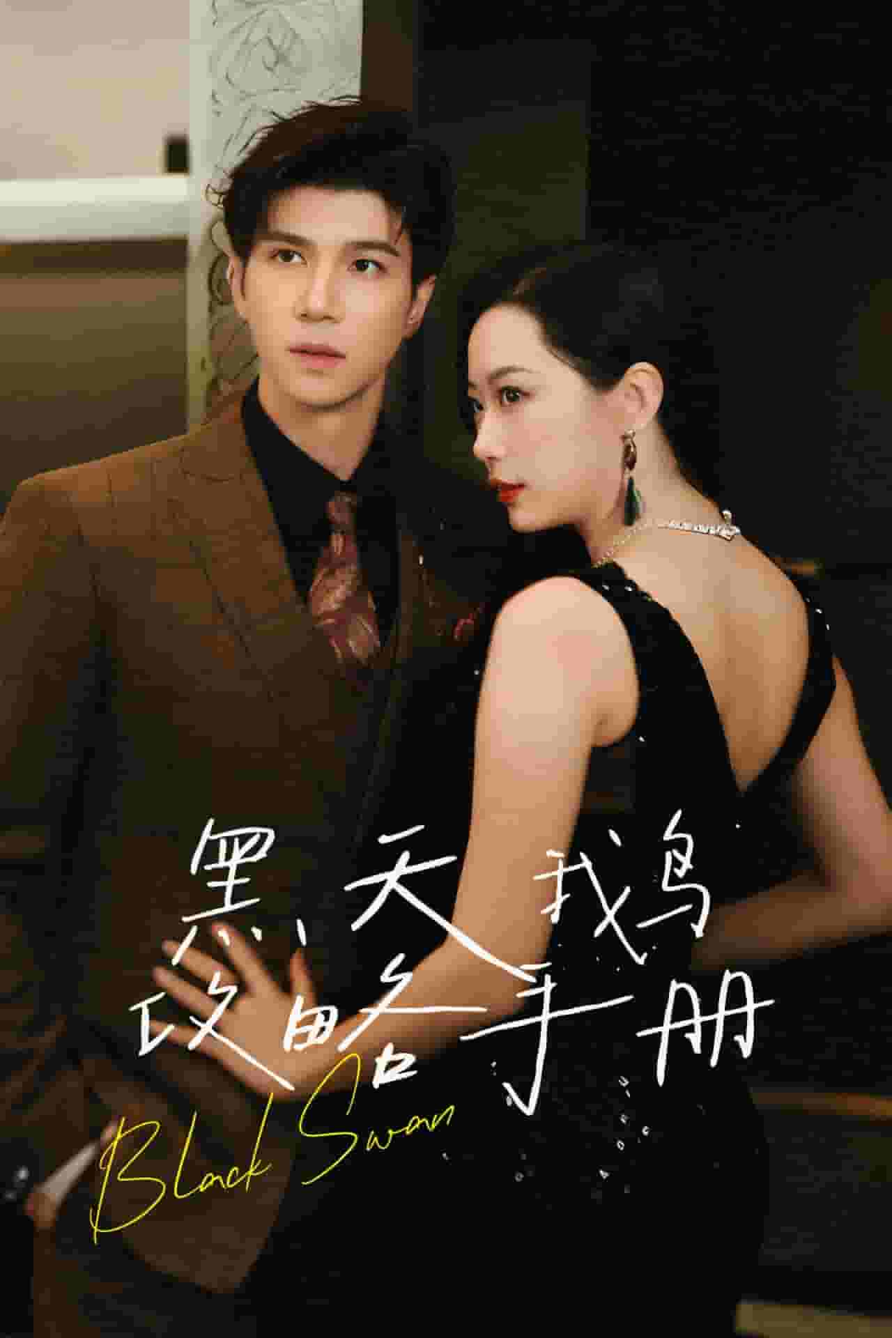 黑天鹅攻略手册第62集