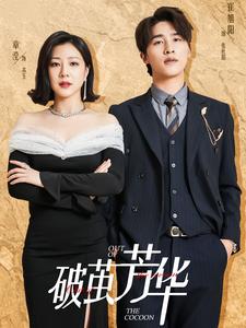 破茧芳华第39集