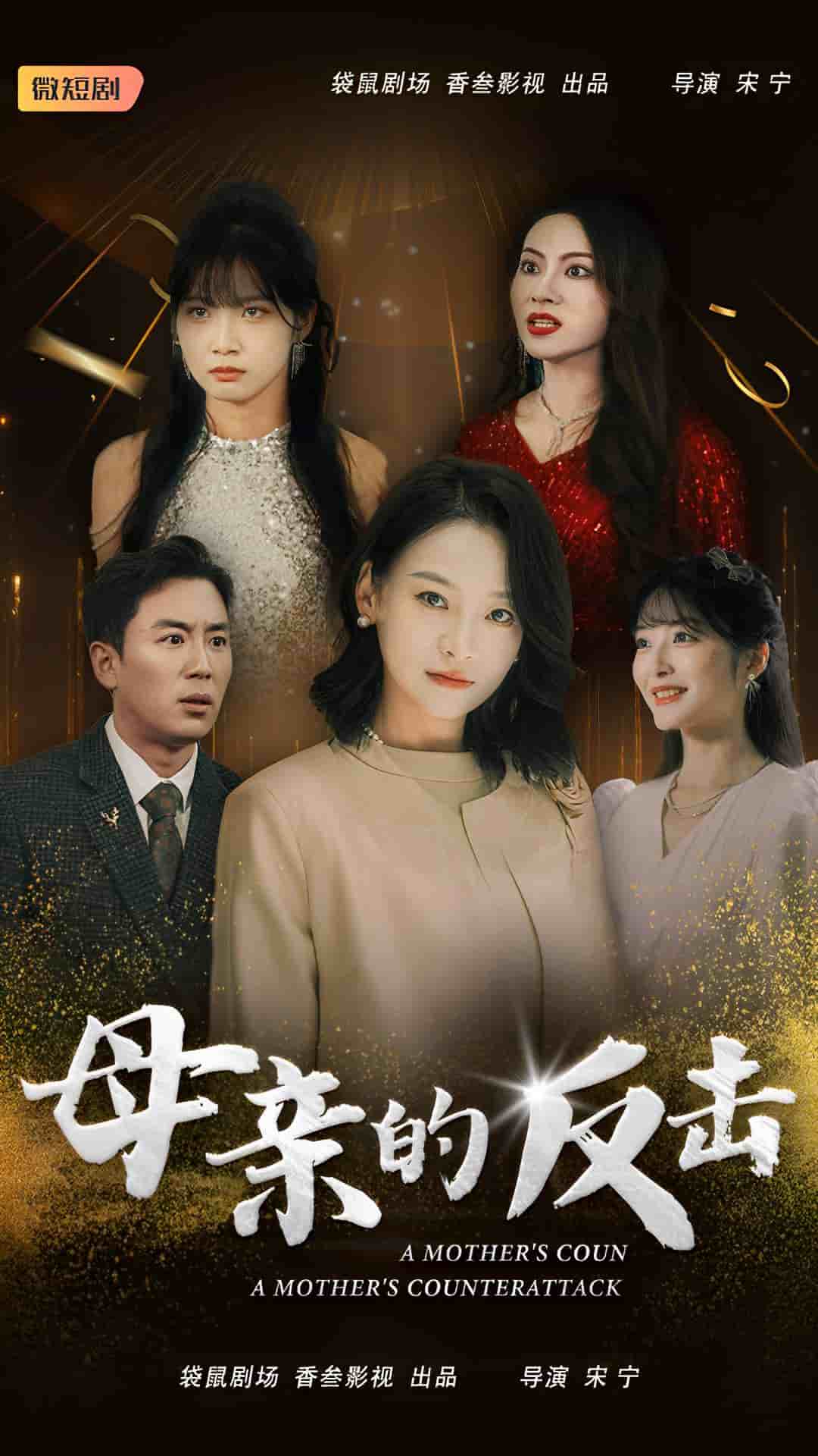 母亲的反击第20集