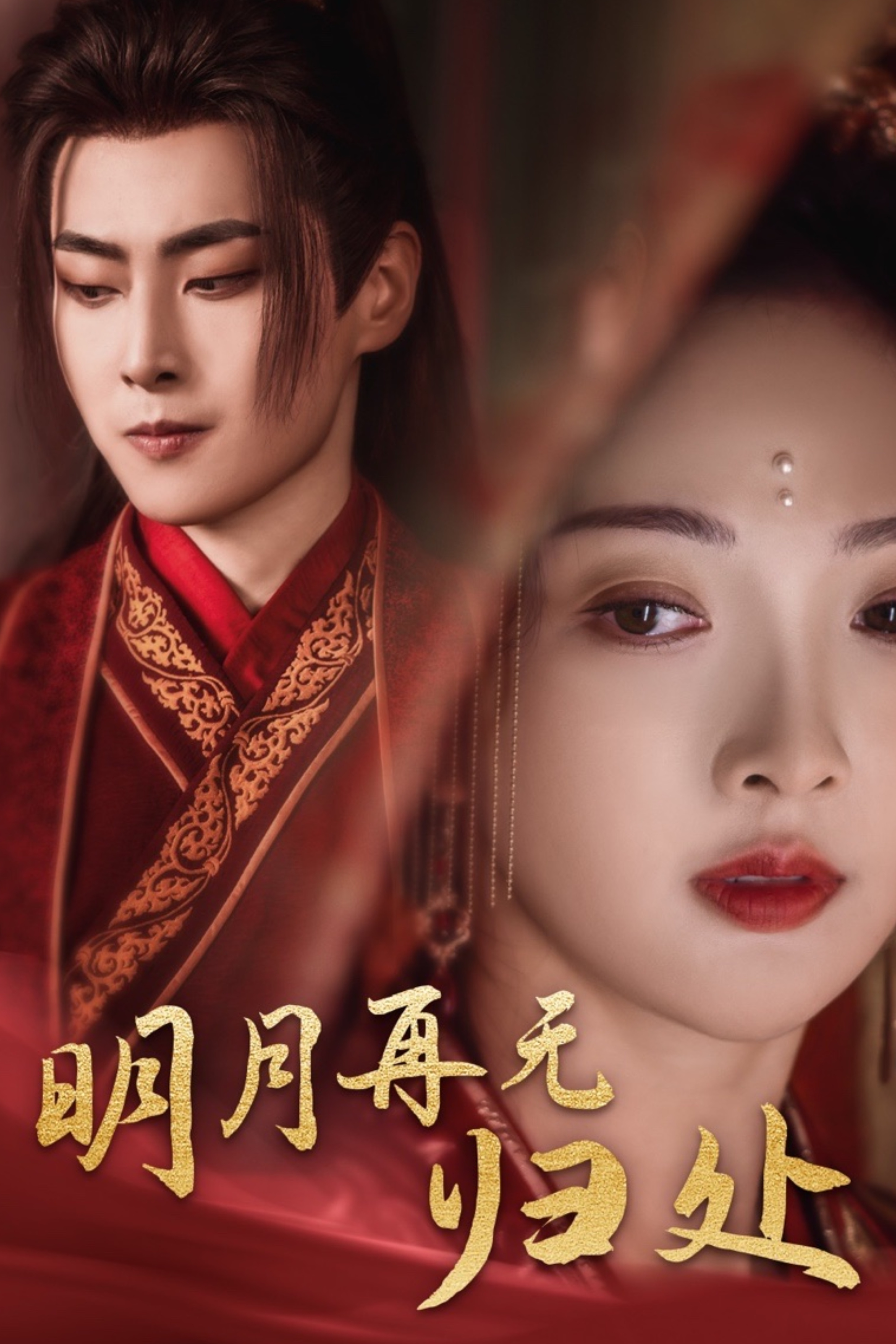 明月再无归处第22集