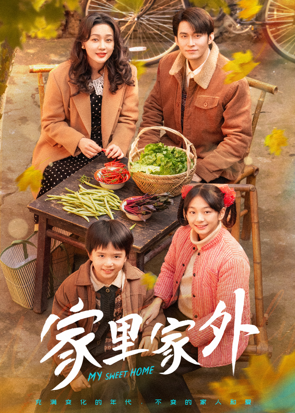 家里家外 短剧版第46集