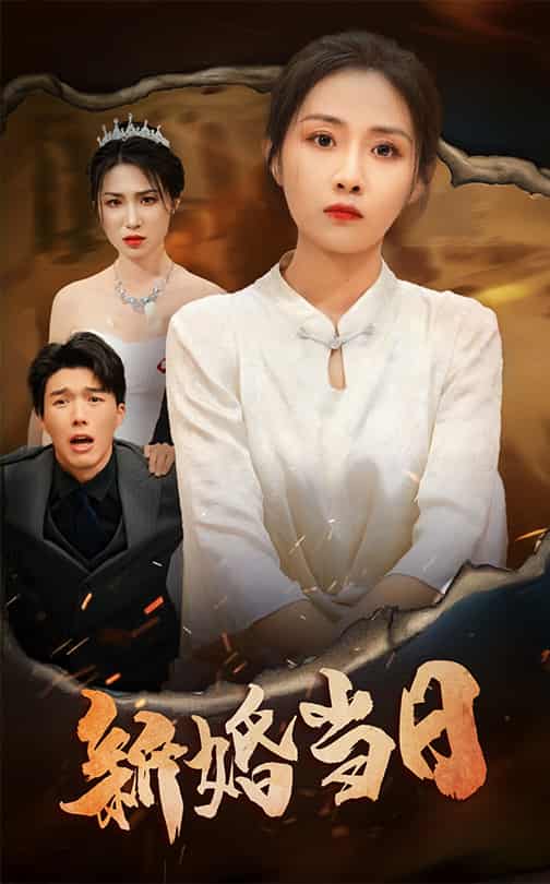 新婚当日第21集