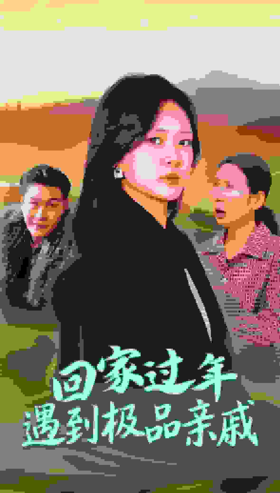 回家过年遇到极品亲戚第13集