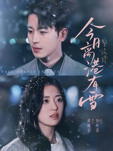 今日离港有雪第18集