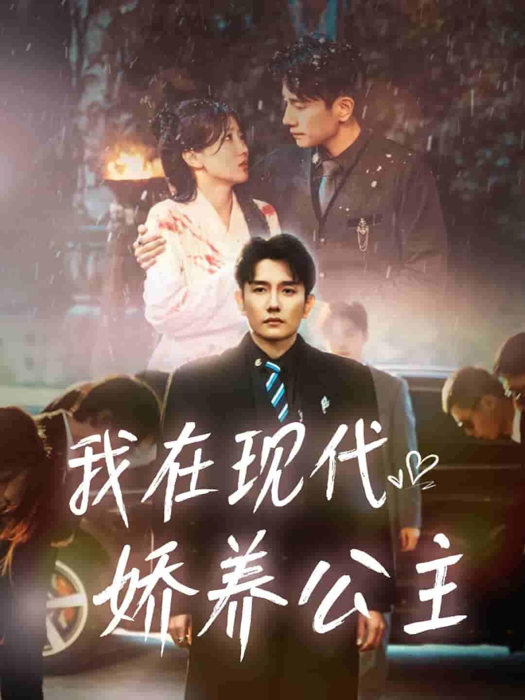 我在现代娇养公主第3集