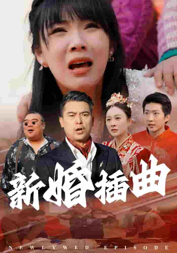 新婚插曲第21集