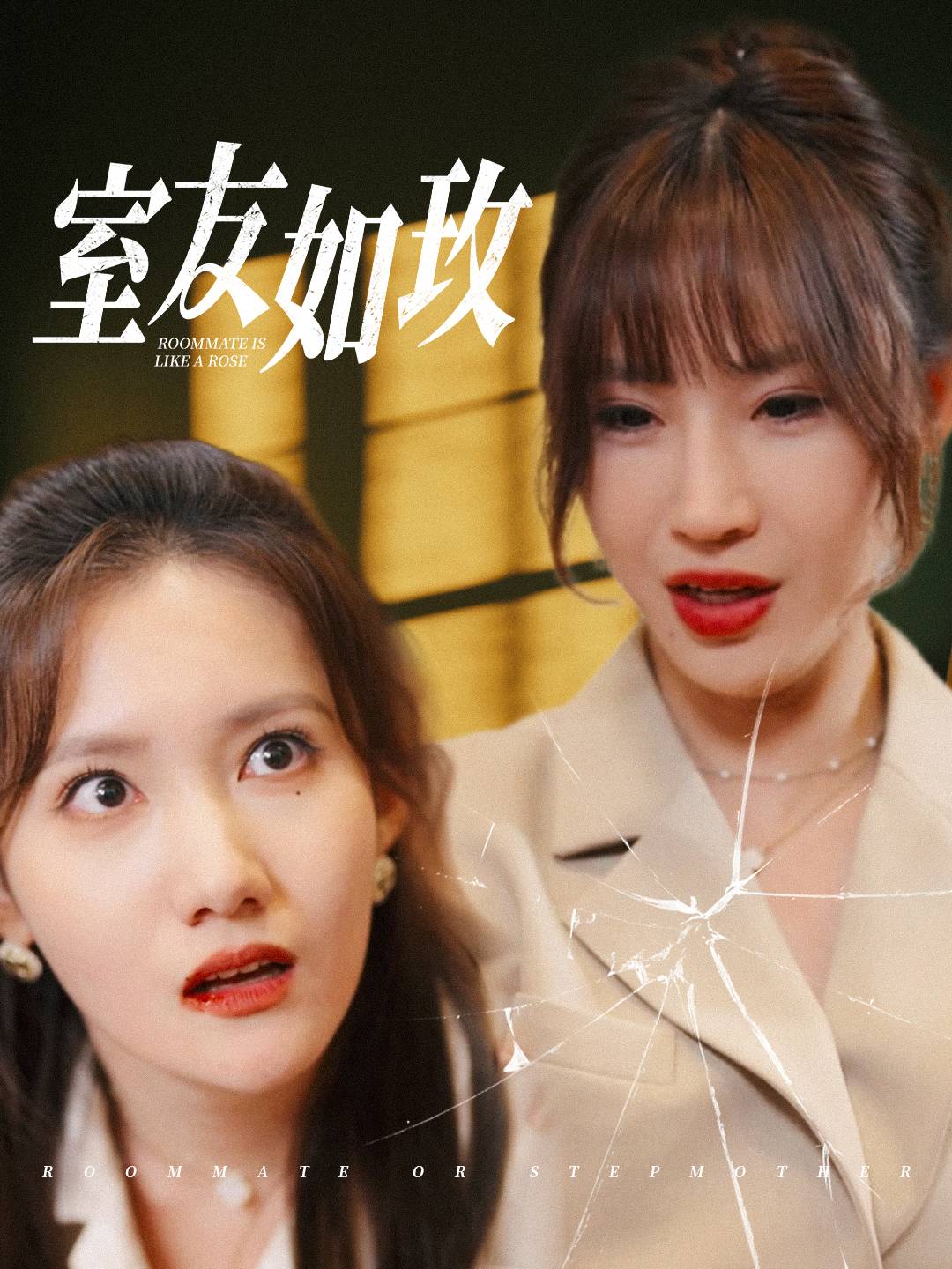 室友如玫第19集