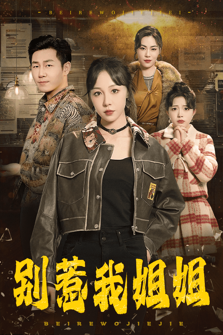 别惹我姐姐第29集