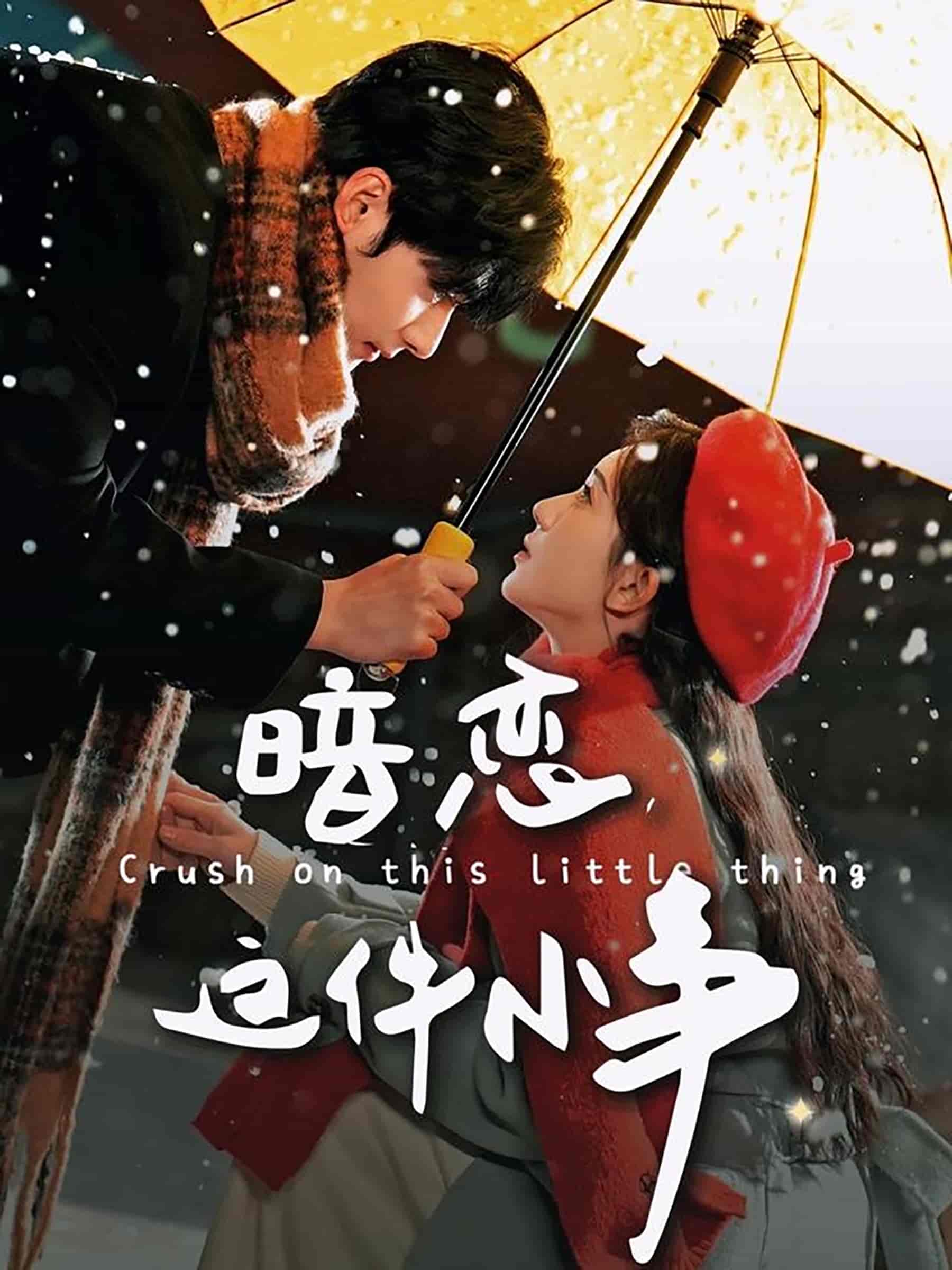 暗恋这件小事第62集