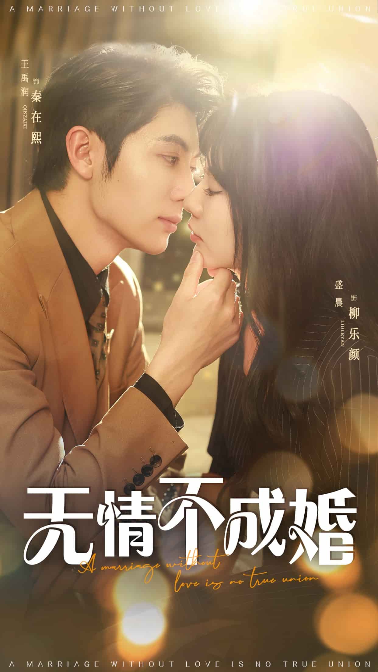 无情不成婚(全集)